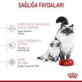 Royal Canin Anne & Bebek Yavru Kedi Maması (2 kg)