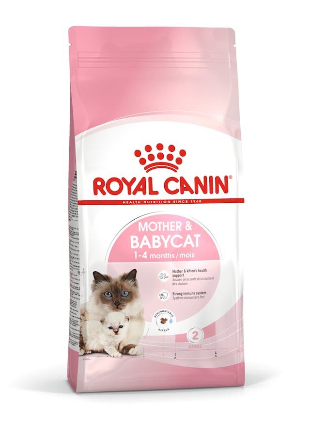 Royal Canin Anne ve Bebek Yavru Kedi Maması (4 kg)
