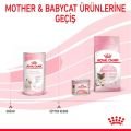 Royal Canin Yavru Kedi Süt Tozu (300 g)