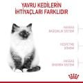 Royal Canin Yavru Kedi Maması (2 kg)