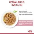 Royal Canin Jelly Yavru Kedi Pouch Yaş Mama (12 x 85 g)