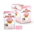 Royal Canin Jelly Yavru Kedi Pouch Yaş Mama (12 x 85 g)