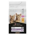 Purina Pro Plan Tavuk Etli Yavru Kedi Maması (3 kg)
