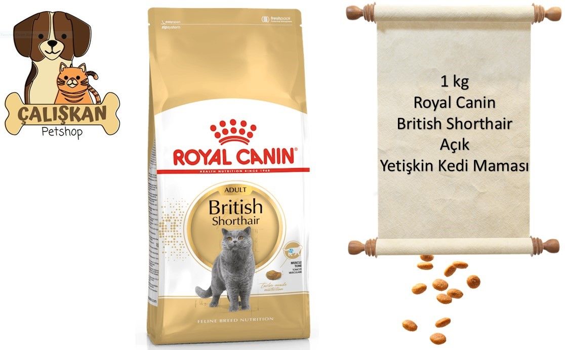 Royal Canin British Shorthair Açık Yetişkin Kedi Maması 1 Kg