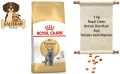 Royal Canin British Shorthair Açık Yetişkin Kedi Maması 1 Kg