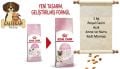 Royal Canin Açık Anne ve Yavru Kedi Maması 1 Kg