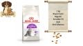 Royal Canin Regular Sensible 33 Hassas Sindirim Sistemi Açık Yetişkin Kedi Maması 1 Kg