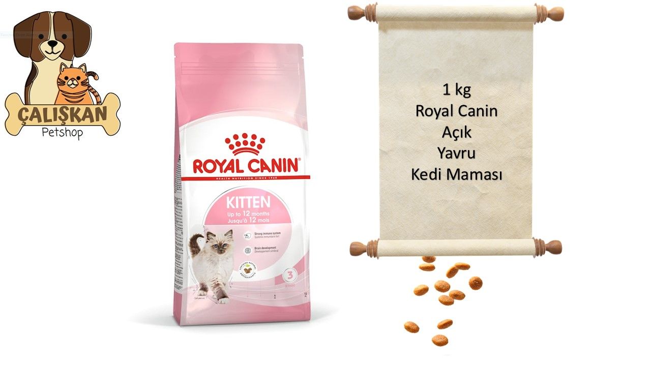 Royal Canin Açık Yavru Kedi Maması 1 Kg