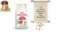 Royal Canin Regular Fit 32 Açık Yetişkin Kedi Maması 1 Kg