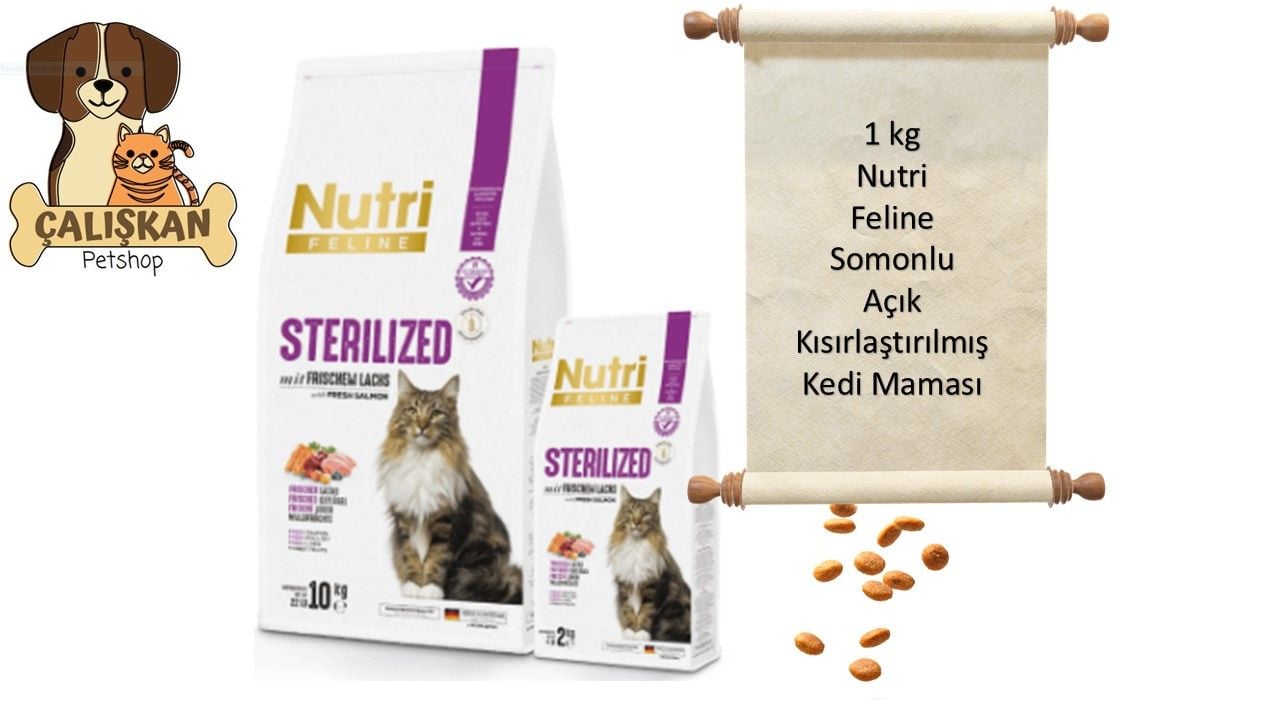 Nutri Feline Somonlu Açık Kısırlaştırılmış Kedi Maması 1 Kg