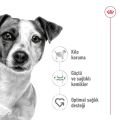 Royal Canin Küçük Irk Yetişkin Köpek Maması (2 kg)