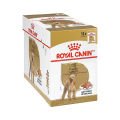Royal Canin Poodle Köpek Yaş Mama (12 x 85 g)