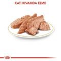 Royal Canin Poodle Köpek Yaş Mama (12 x 85 g)