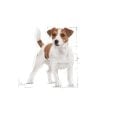 Royal Canin Küçük Irk Yetişkin Köpek Konserve Maması (12 x 85 g)