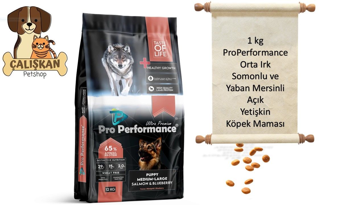 Pro Performance Orta Irk Somonlu & Yaban Mersinli Açık Yetişkin Köpek Maması 1 Kg