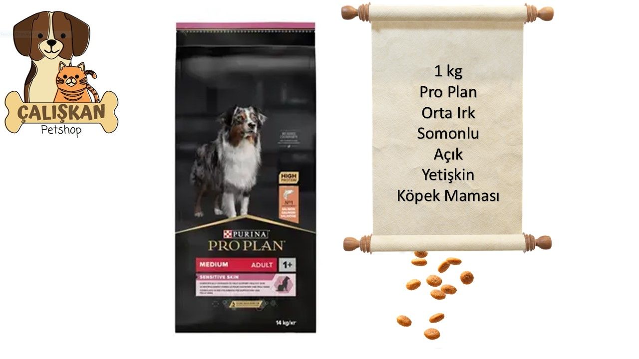 Purina Pro Plan Somonlu Orta Irk Açık Yetişkin Köpek Maması 1 Kg