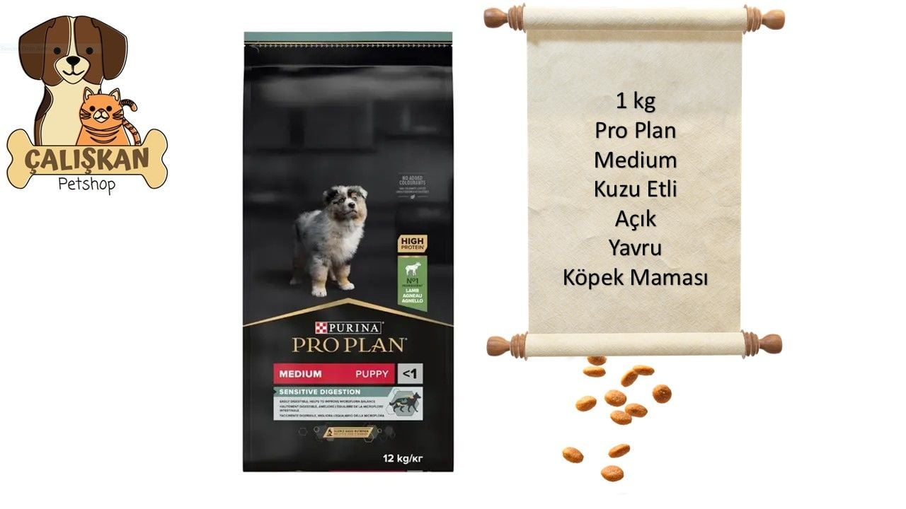 Purina Pro Plan Medium Kuzu Etli Açık Yavru Köpek Maması 1 Kg