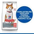 Hill's Science Plan Somonlu Kısırlaştırılmış Kedi Maması (10 kg)