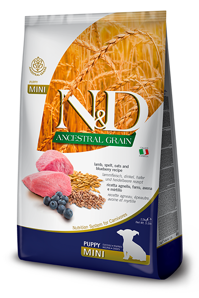 N&D Düşük Tahıllı, Kuzu Etli & Yaban Mersinli Küçük Irk Yavru Köpek Maması (2,5 kg)
