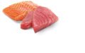 N&D Ocean Ton Balıklı ve Somonlu Kedi Konserve Maması (70 g)
