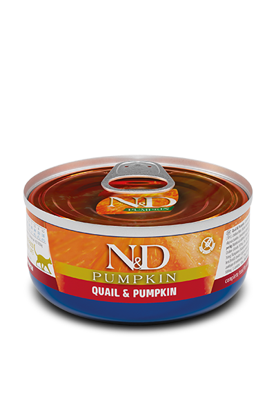 N&D Pumpkin Bal Kabaklı ve Bıldırcınlı Yetişkin Kedi Konserve Maması (70 g)
