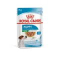 Royal Canin Küçük Irk Yavru Köpek Pouch Yaş Mama (12 x 85 g)