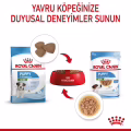 Royal Canin Küçük Irk Yavru Köpek Pouch Yaş Mama (12 x 85 g)
