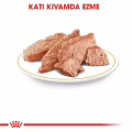 Royal Canin Yorkshire Terrier Yetişkin Köpek Pouch Yaş Mama (12 x 85 g)